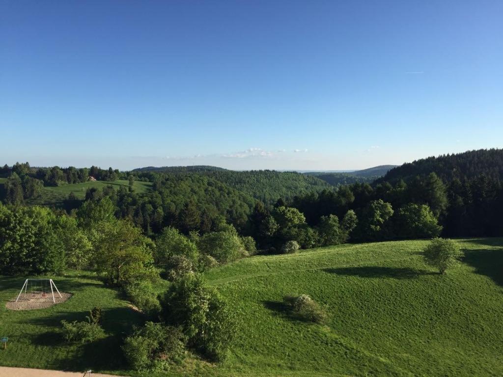 Ferienwohnung Weitblick 274 Hohegeiß Екстериор снимка